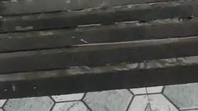 छत्तीसगढ़ में फिर बदलेगा मौसम, दक्षिणी इलाकों में भारी बारिश की चेतावनी