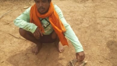 वन्यजीव संरक्षण में बड़ी सफलता : नर चीतल के अवैध शिकार का खुलासा, सात आरोपी गिरफ्तार, न्यायालय ने भेजा जेल