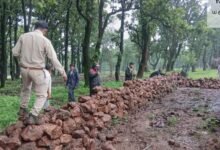 जशपुर में वन विभाग की बड़ी कार्रवाई: 0.669 हेक्टेयर वनभूमि से हटाया अवैध अतिक्रमण, कब्जा मुक्त कर तुरंत शुरू कराया पौधरोपण
