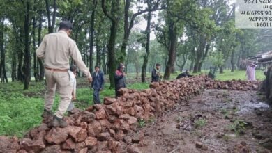 जशपुर में वन विभाग की बड़ी कार्रवाई: 0.669 हेक्टेयर वनभूमि से हटाया अवैध अतिक्रमण, कब्जा मुक्त कर तुरंत शुरू कराया पौधरोपण