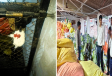 कृषि विभाग का बड़ा एक्शन, गोदाम पर छापा; अवैध कृषि सामग्री जब्त कर किया सील