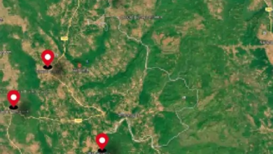 कैमरा ट्रैपिंग में दिखे 12 बाघ: वनकर्मियों की लीक लोकेशन से शिकारी पहुंचे, 3 बाघों की गई जान