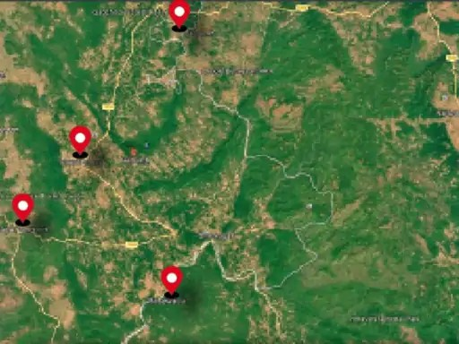 कैमरा ट्रैपिंग में दिखे 12 बाघ: वनकर्मियों की लीक लोकेशन से शिकारी पहुंचे, 3 बाघों की गई जान कैमरा ट्रैपिंग में दिखे 12 बाघ: वनकर्मियों की लीक लोकेशन से शिकारी पहुंचे, 3 बाघों की गई जान