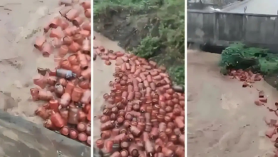 उफनती नदी में बह गए 3000 LPG सिलेंडर, कलेक्टर की सख्त चेतावनी- छूना मत नहीं तो…