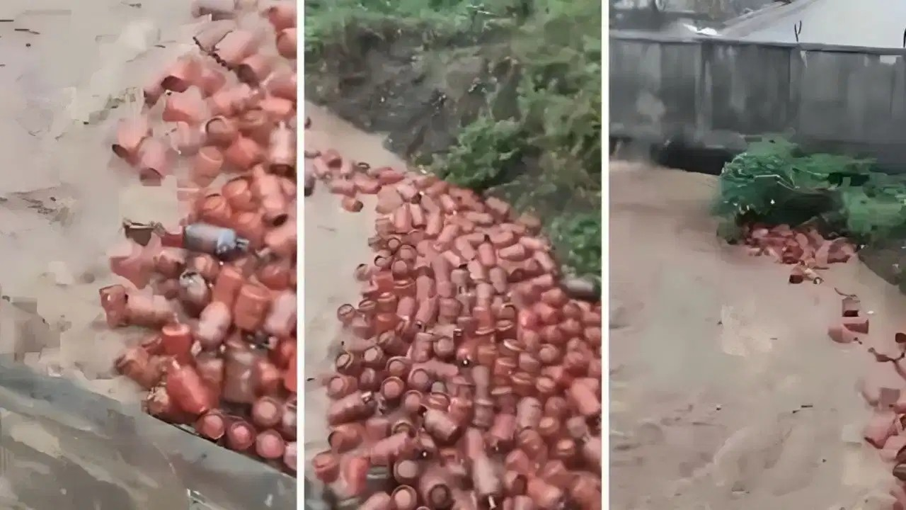 उफनती नदी में बह गए 3000 LPG सिलेंडर, कलेक्टर की सख्त चेतावनी- छूना मत नहीं तो… उफनती नदी में बह गए 3000 LPG सिलेंडर, कलेक्टर की सख्त चेतावनी- छूना मत नहीं तो…