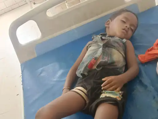 मरवाही में सोते समय विषैले सांप ने 3 वर्षीय मासूम को डसा, अस्पताल पहुंचने से पहले हुई मौत