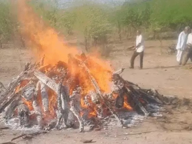 पति-पत्नी और बेटा-बेटी का एक चिता पर अंतिम संस्कार:बिलख पड़े लकवाग्रस्त पिता, मां बोलीं-बुढ़ापे में बेटे-पोतों की लाश देखनी पड़ रही पति-पत्नी और बेटा-बेटी का एक चिता पर अंतिम संस्कार:बिलख पड़े लकवाग्रस्त पिता, मां बोलीं-बुढ़ापे में बेटे-पोतों की लाश देखनी पड़ रही