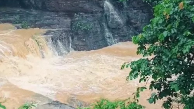 मौसम अपडेट: अगले 4 दिन कम होगी बारिश, इसके बाद प्रदेश के कई इलाकों में भारी बरसात की संभावना
