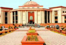 हाईकोर्ट की राज्य सरकार को फटकार, आवारा कुत्तों और मवेशियों के प्रबंधन पर मांगी 22 सितंबर तक नई रिपोर्ट