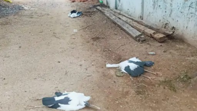 रायगढ़ में जेल से रिहा युवक बना लुटेरा, बाहर आते ही युवक से 15 हजार लूटे; 2 गिरफ्तार रायगढ़ में जेल से रिहा युवक बना लुटेरा, बाहर आते ही युवक से 15 हजार लूटे; 2 गिरफ्तार