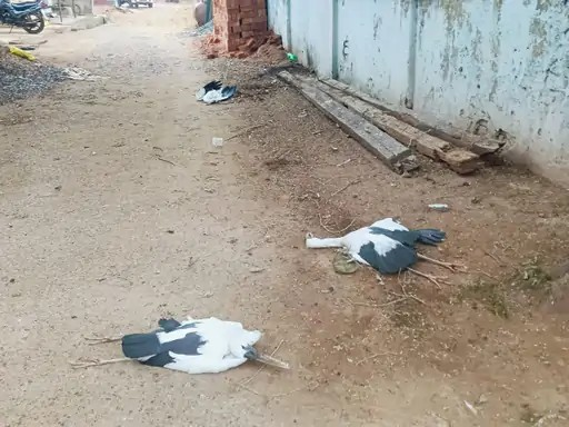 रायगढ़ में जेल से रिहा युवक बना लुटेरा, बाहर आते ही युवक से 15 हजार लूटे; 2 गिरफ्तार रायगढ़ में जेल से रिहा युवक बना लुटेरा, बाहर आते ही युवक से 15 हजार लूटे; 2 गिरफ्तार