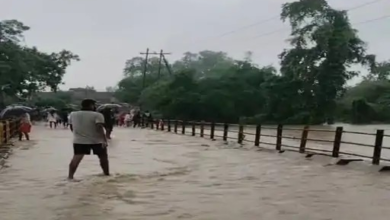 लगातार बारिश से जांजगीर-चांपा बेहाल, नदी-नाले उफान पर, कई गांवों का संपर्क टूटा