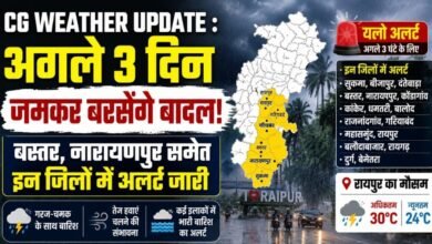 CG Rain Alert: कई जिलों में गरज-चमक के साथ बारिश की संभावना