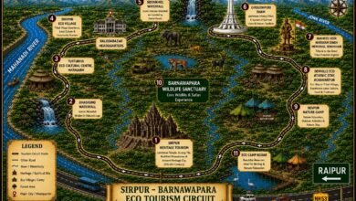 मानसून में जंगल सफारी पर ब्रेक: बारनावापारा 31 अक्टूबर तक बंद, अब इन खूबसूरत जगहों का लें आनंद