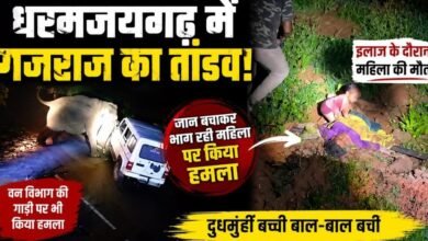 धरमजयगढ़ में हाथी ने मचाई तबाही: महिला की गई जान, वन विभाग की टीम पर भी हमला; इलाके में अलर्ट जारी