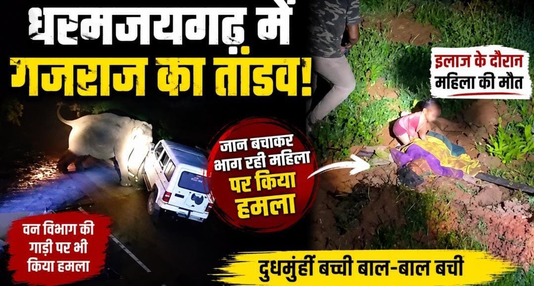 धरमजयगढ़ में हाथी ने मचाई तबाही: महिला की गई जान, वन विभाग की टीम पर भी हमला; इलाके में अलर्ट जारी धरमजयगढ़ में हाथी ने मचाई तबाही: महिला की गई जान, वन विभाग की टीम पर भी हमला; इलाके में अलर्ट जारी