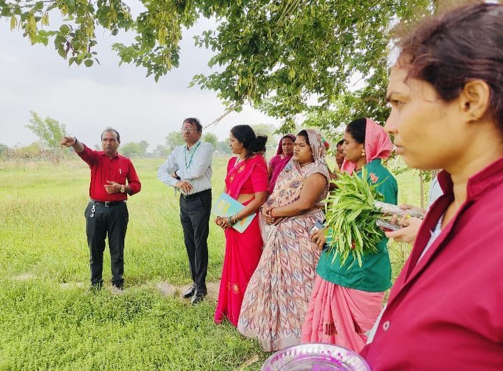 औषधीय खेती से बदली धमतरी की तस्वीर: महिलाओं की आय कई गुना बढ़ी, अब देशभर में अपनाया जाएगा यह सफल मॉडल औषधीय खेती से बदली धमतरी की तस्वीर: महिलाओं की आय कई गुना बढ़ी, अब देशभर में अपनाया जाएगा यह सफल मॉडल