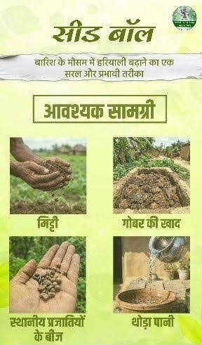 सीड बॉल से हरियाली की नई पहल: जनभागीदारी से हरे होंगे जंगल, दुर्गम इलाकों तक पहुंचेगा वन विभाग का हरित अभियान