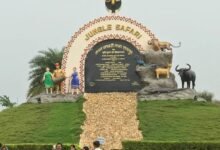320 हेक्टेयर में फैला नंदनवन जंगल सफारी बना पर्यटकों की पहली पसंद : बाघ-शेर समेत दुर्लभ वन्यजीवों के बीच रोमांच का अनोखा अनुभव