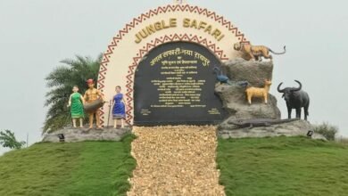 320 हेक्टेयर में फैला नंदनवन जंगल सफारी बना पर्यटकों की पहली पसंद : बाघ-शेर समेत दुर्लभ वन्यजीवों के बीच रोमांच का अनोखा अनुभव