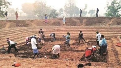 प्रदेशभर की ग्राम पंचायतों में आज विशेष ग्राम सभा, रोजगार और विकास योजनाओं पर होगी चर्चा