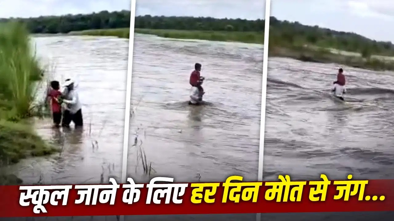 उफनती नदी, कंधे पर बेटा और बेबस पिता… वायरल हुआ बिहार का ये Video, रुला देगी इसके पीछे की कहानी उफनती नदी, कंधे पर बेटा और बेबस पिता… वायरल हुआ बिहार का ये Video, रुला देगी इसके पीछे की कहानी