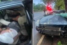 BREAKING: सेंट्रल एवेन्यू पर दर्दनाक हादसा, तेज रफ्तार कार पेड़ से भिड़ी; दो युवकों ने तोड़ा दम