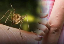 छत्तीसगढ़ के जगदलपुर में 9 साल की छात्रा जापानी इंसेफेलाइटिस से संक्रमित, अलर्ट मोड पर स्वास्थ्य विभाग