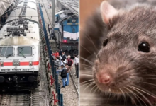 चूहे ने बजाया महालक्ष्मी एक्सप्रेस का फायर अलार्म, मृत चूहे से शॉर्ट सर्किट, 1 घंटे बाधित रही ट्रेन