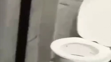टॉयलेट में बर्तन धोने का VIDEO सामने आया, खाद्य विभाग ने जारी किया नोटिस