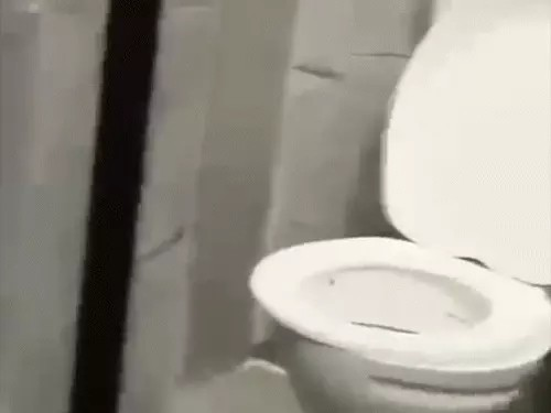टॉयलेट में बर्तन धोने का VIDEO सामने आया, खाद्य विभाग ने जारी किया नोटिस