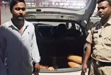 ओडिशा से यूपी और महाराष्ट्र जा रही 16 लाख की गांजा खेप पकड़ी, रायगढ़ में महिला समेत 2 तस्कर गिरफ्तार