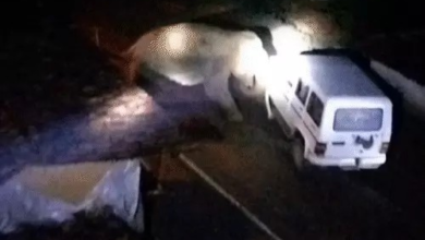 हाथियों के हमले से दहला रायगढ़: 2 की मौत, मासूम बची; सूंड से वन विभाग की गाड़ी पर वार