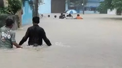 बारिश ने रोकी रफ्तार, बिलासपुर में बाढ़ जैसे हालात, हर तरफ पानी ही पानी