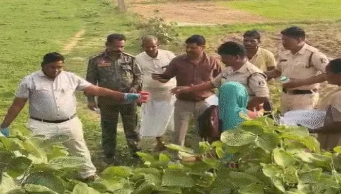 बलरामपुर में महिला से सामूहिक दुष्कर्म का आरोप, तीन आरोपी गिरफ्तार बलरामपुर में महिला से सामूहिक दुष्कर्म का आरोप, तीन आरोपी गिरफ्तार
