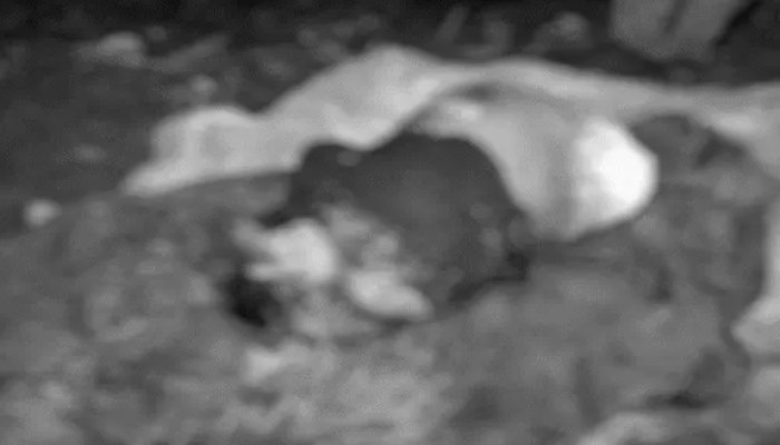 बेमेतरा हत्याकांड का खुलासा, महिला की हत्या के आरोप में गिरफ्तार आरोपी ने कबूला जुर्म