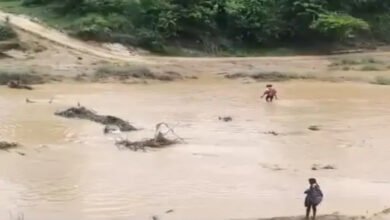 टूटी पुलिया बनी मुसीबत, उफनती नदी पार कर स्कूल पहुंचने को मजबूर बच्चे टूटी पुलिया बनी मुसीबत, उफनती नदी पार कर स्कूल पहुंचने को मजबूर बच्चे