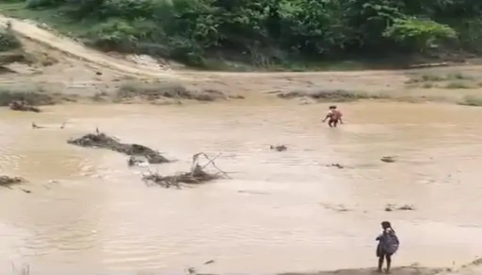 टूटी पुलिया बनी मुसीबत, उफनती नदी पार कर स्कूल पहुंचने को मजबूर बच्चे