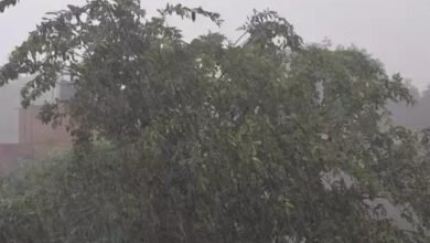 छत्तीसगढ़ में फिर सक्रिय होगा मानसून: आज से कई जिलों में तेज बारिश और बिजली गिरने की चेतावनी