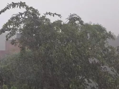 छत्तीसगढ़ में फिर सक्रिय होगा मानसून: आज से कई जिलों में तेज बारिश और बिजली गिरने की चेतावनी छत्तीसगढ़ में फिर सक्रिय होगा मानसून: आज से कई जिलों में तेज बारिश और बिजली गिरने की चेतावनी