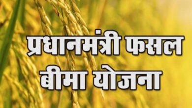 31 जुलाई तक कराएं फसल बीमा, धान समेत 10 खरीफ फसलें योजना में शामिल
