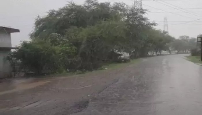 छत्तीसगढ़ में अगले 48 घंटे भारी बारिश का अलर्ट, कई जिलों में जलभराव; आकाशीय बिजली से दो बच्चों की मौत छत्तीसगढ़ में अगले 48 घंटे भारी बारिश का अलर्ट, कई जिलों में जलभराव; आकाशीय बिजली से दो बच्चों की मौत