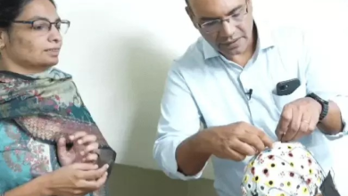 IIT जोधपुर की बड़ी रिसर्च: ब्रेन वेव्स से पहले ही मिलेगा याददाश्त कमजोर होने का संकेत