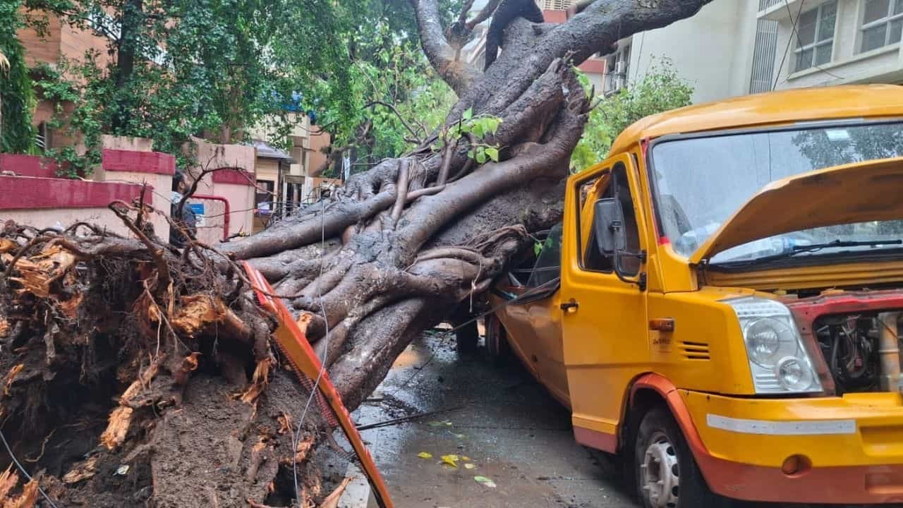 मुंबई में स्कूल बस पर पेड़ गिरने से हुई बच्चे की मौत का जिम्मेदार कौन मुंबई में स्कूल बस पर पेड़ गिरने से हुई बच्चे की मौत का जिम्मेदार कौन