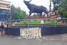 उद्घाटन के छह महीने बाद बदहाल हुई वन भैंसा प्रतिमा, रखरखाव की जिम्मेदारी तय न होने से बढ़ी अव्यवस्था