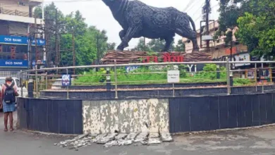 उद्घाटन के छह महीने बाद बदहाल हुई वन भैंसा प्रतिमा, रखरखाव की जिम्मेदारी तय न होने से बढ़ी अव्यवस्था
