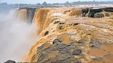 मानसून ने पकड़ी रफ्तार, 9 घंटे में 70.8 मिमी बारिश; चित्रकोट जलप्रपात का बढ़ा जलस्तर