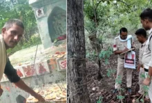 कैमरे की एक क्लिक ने उजाड़ा हंसता-खेलता परिवार, पन्ना टाइगर रिजर्व के कोर एरिया में युवक ने लगाई फांसी