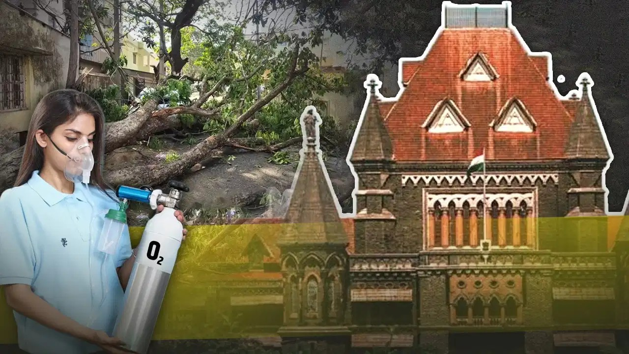 सिर्फ तस्वीर के लिए लगाते हैं पौधे… मुंबई में पेड़ों की कटाई पर हाई कोर्ट की सख्त टिप्पणी, कहा- ऐसा ना हो ऑक्सीजन सिलेंडर लेकर चलना पड़े सिर्फ तस्वीर के लिए लगाते हैं पौधे… मुंबई में पेड़ों की कटाई पर हाई कोर्ट की सख्त टिप्पणी, कहा- ऐसा ना हो ऑक्सीजन सिलेंडर लेकर चलना पड़े