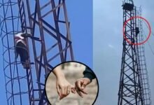 बॉयफ्रेंड का मोबाइल बंद मिला तो टावर पर चढ़ी गर्लफ्रेंड : शादी की जिद पर 5 घंटे हाई-वोल्टेज ड्रामा, पुलिस ने सुरक्षित उतारा